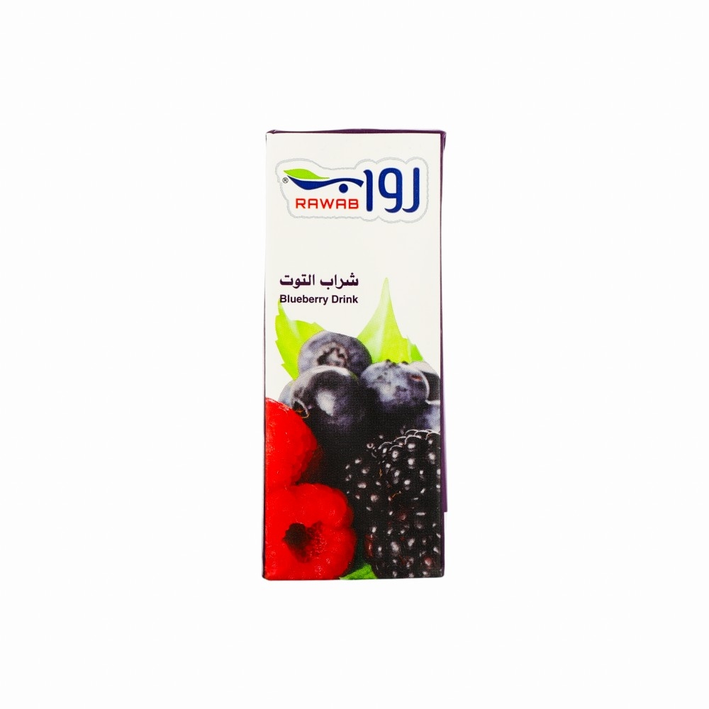 رواب شراب التوت -200 مل 