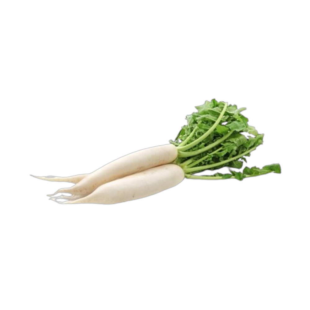 فجل أبيض طازج  - ربطة
